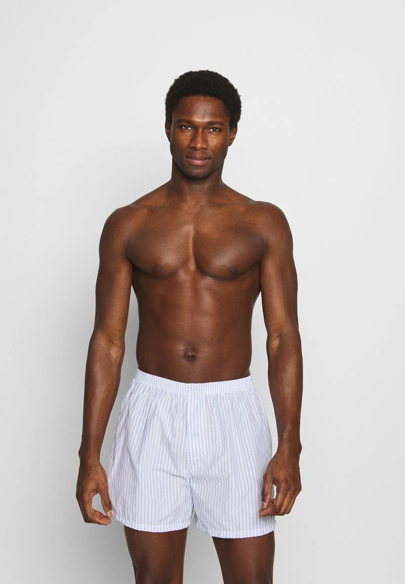 5 PACK - Boxershorts - light blue/white Pier One 5 PACK - Boxershorts - Light Blue/white -Günstiges Pier One Geschäft 139342f1516744e4937742c5f01eeccb
