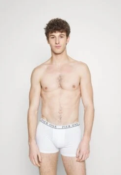 Pier One 5 PACK - Panties - White/pink/light Blue -Günstiges Pier One Geschäft 3721024dbc554890a6059d1e8168907f