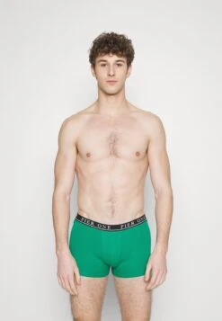 Pier One 5 PACK - Panties - Light Grey/black/green -Günstiges Pier One Geschäft 848816986ca24fbcb5e57aec8f8eb96c