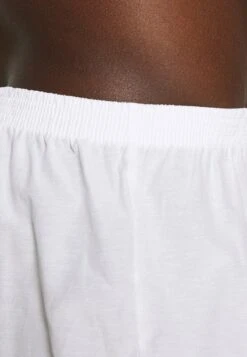 Pier One 5 PACK - Boxershorts - Light Blue/white 7 Pier One 5 PACK - Boxershorts - Light Blue/white -Günstiges Pier One Geschäft 8e2664e226c041628a342c1ad591e54d