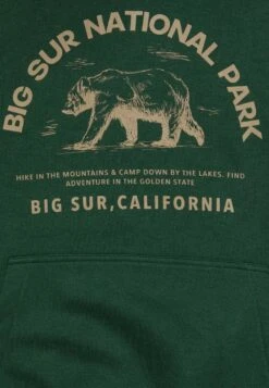 Pier One Sweatshirt - Dark Green -Günstiges Pier One Geschäft 98f45f14fc32419d9ff9d39a6bc94089