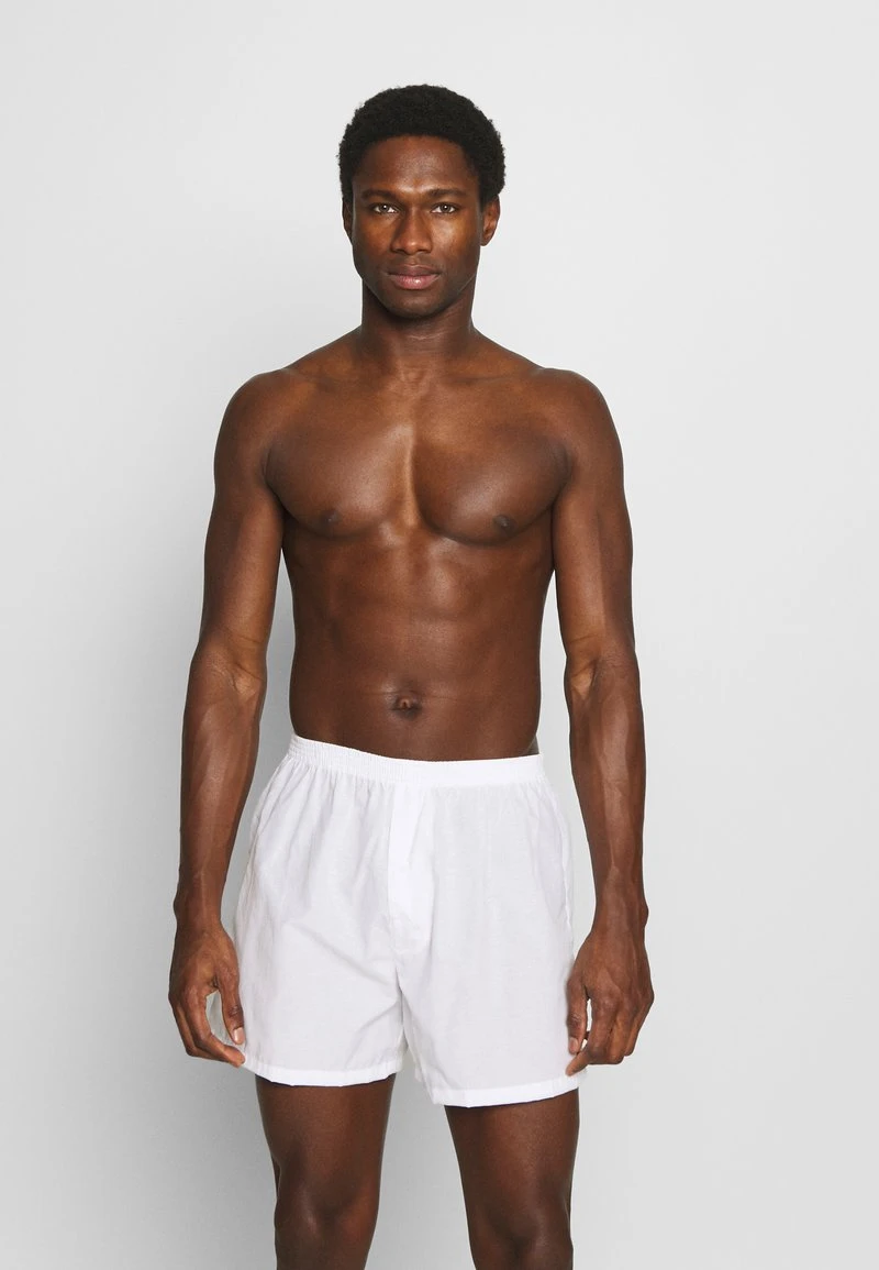 5 PACK - Boxershorts - light blue/white Pier One 5 PACK - Boxershorts - Light Blue/white -Günstiges Pier One Geschäft 9fe3d20afa3b48fbbe24d867d8a73b1d