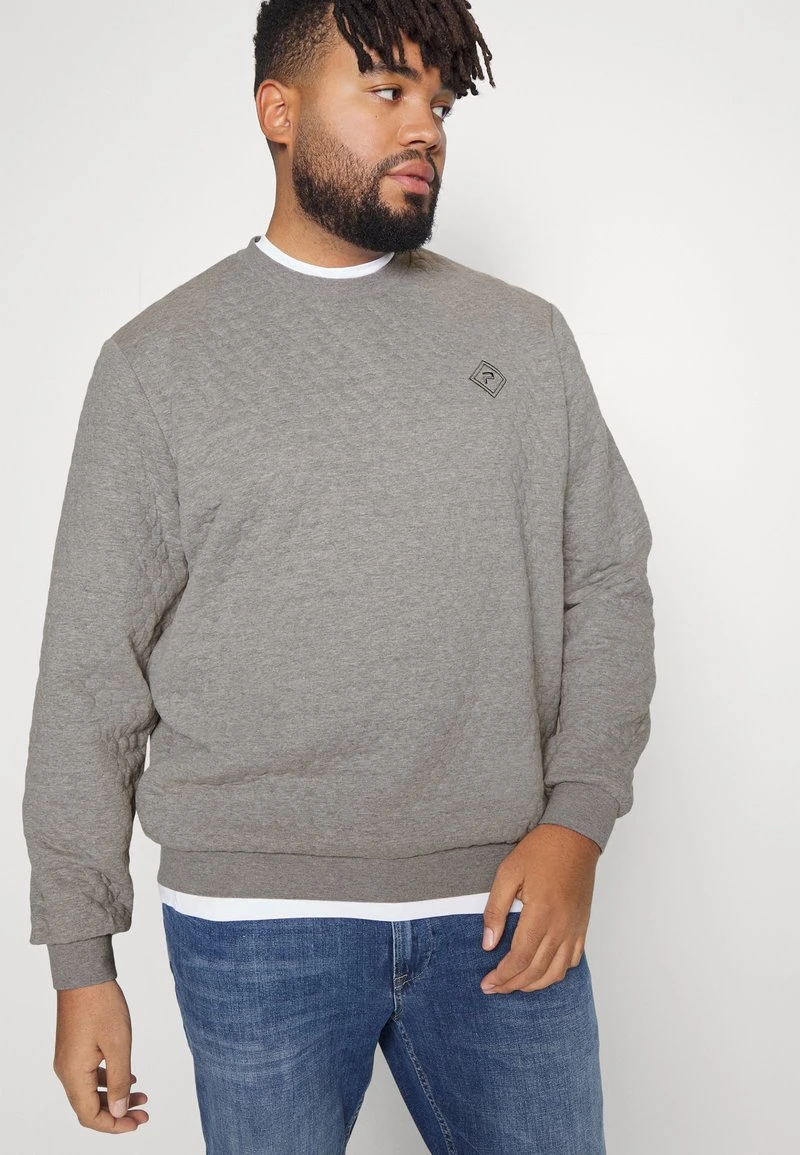 Sweatshirt - grey Pier One Sweatshirt - Grey -Günstiges Pier One Geschäft cf49486252674b43a74ae61d47433558