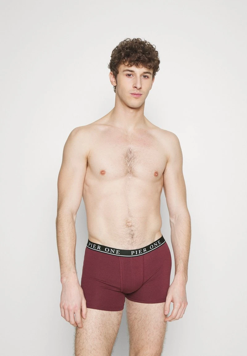 5 PACK - Panties - beige/green/bordeaux Pier One 5 PACK - Panties - Beige/green/bordeaux -Günstiges Pier One Geschäft e6d291a2721249bc8ba1cf0e09e3ab7d